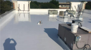 TropicalRoofing-ProjectProfile-TPORoofRestoration-Hero